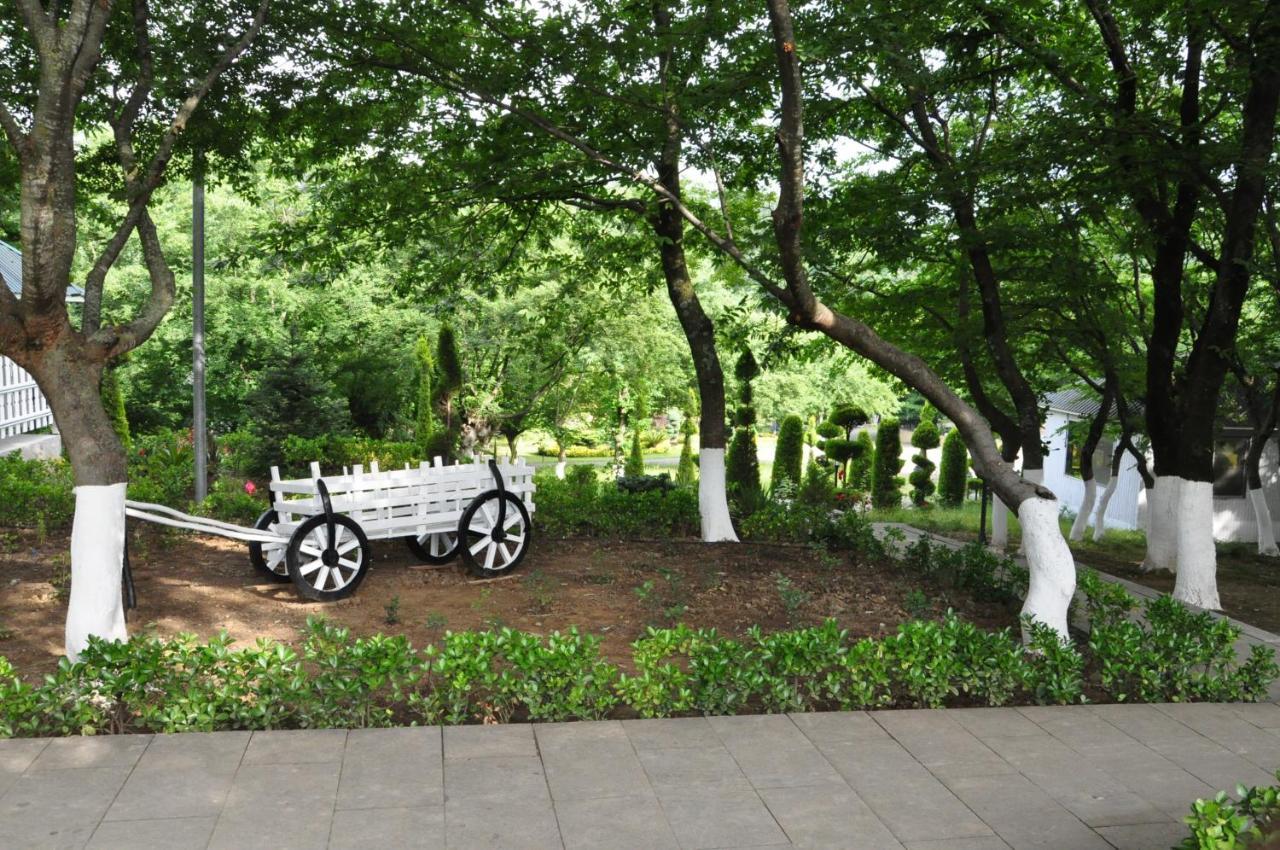 Vilesh Palace Hotel Masallı Exterior foto