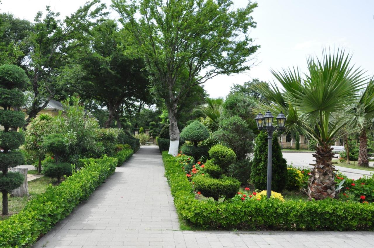Vilesh Palace Hotel Masallı Exterior foto